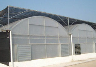 温室的夏季降温